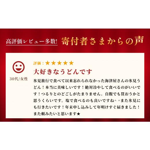 ふるさと納税 富山県 氷見市 氷見うどん 細麺 200g×6袋 海津屋 氷見 うどん 乾麺 ギフト