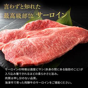 ふるさと納税 岐阜県海津市産 飛騨牛サーロインステーキ(250g×2枚) 岐阜県海津市