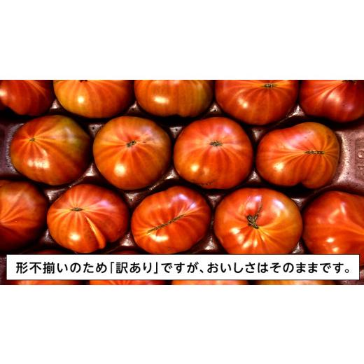 ふるさと納税 茨城県 桜川市 《訳あり》 スーパーフルーツトマト 大箱 約2.6kg×1箱（20〜35玉）糖度9度以上 トマト とまと 野菜 [B…