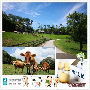 【苗栗】飛牛牧場-單人入園全票+烤布丁3入組