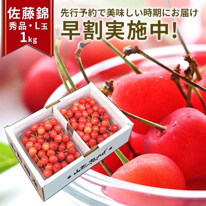 さくらんぼ 佐藤錦 Ｌ 2L玉 1kg（500g×2） 山形 秀品 サクランボ 取り寄せ 送料無料 贈答用 ギフト