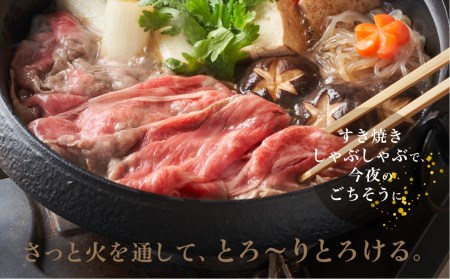 飛騨牛 A5等級 ロース ５００g しゃぶしゃぶ 飛騨牛 ブランド牛 Ａ5ランク ハッピープラス 飛騨高山 TR4091