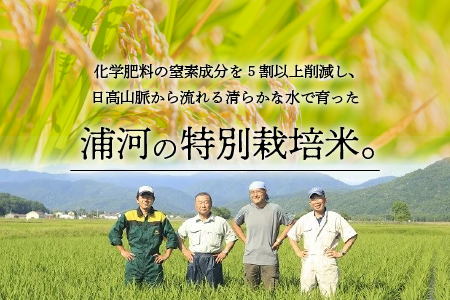 浦河の特別栽培米「きたくりん」精米(5kg×2袋)定期便(全3回)[28-1209]