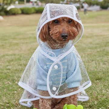【臺灣出貨】新款網紅夏季寵物衣服狗狗雨衣泰迪博美中小型犬雨衣貓咪透明雨衣03Qu