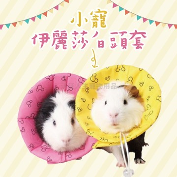 小寵伊麗莎白頭套 寵物頭套 防舔咬 伊麗莎白頸圈 羞恥圈 羞恥頭套 術後防舔 絕育頭套 術後防咬 防抓 松鼠 鼠 小蜜