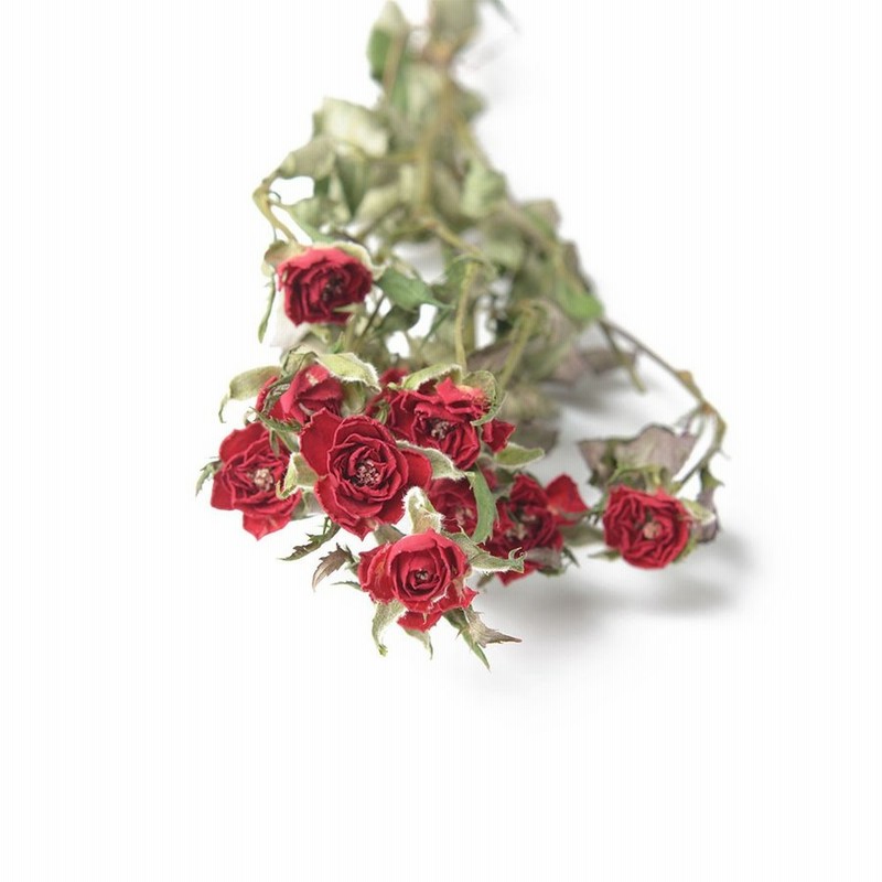 ドライフラワー 花材 Spローズ ダークレッド 約7 8輪 そらプリ 通販 Lineポイント最大0 5 Get Lineショッピング