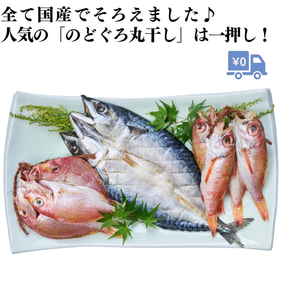 厳選 国産干物 ３種セット のどぐろ丸干し 連子鯛丸干し 金華沖さば開き (冷凍品)