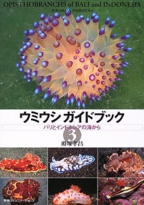 ウミウシガイドブック 殿塚孝昌