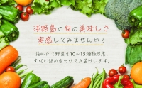 淡路島の旬の野菜セット　３ヶ月コース（月１回×３回）