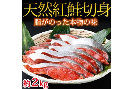 和歌山魚鶴仕込の天然紅サケ切身 約2kg