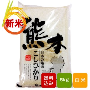 熊本コシヒカリ 新米 5kg 白米 熊本県産 令和4年産