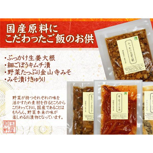 送料別 国産原料のご飯のお供 ぶっかけ生姜大根 150g 6個までメール便配送可 代引着日時指定不可 メール便全国一律250円