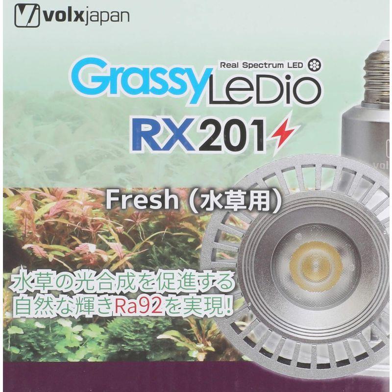 ボルクスジャパン　Ｇｒａｓｓｙ　ＬｅＤｉｏ　ＢＴ２／Ｂｌｕｅｔｏｏｔｈユニット