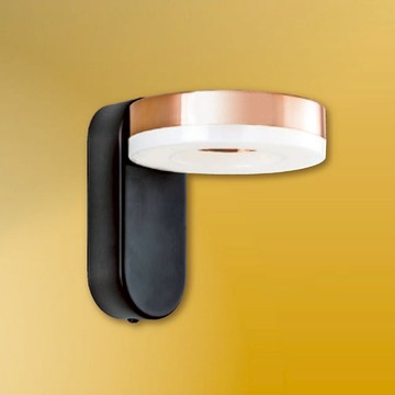 6W投光壁燈 B209-81-2595B