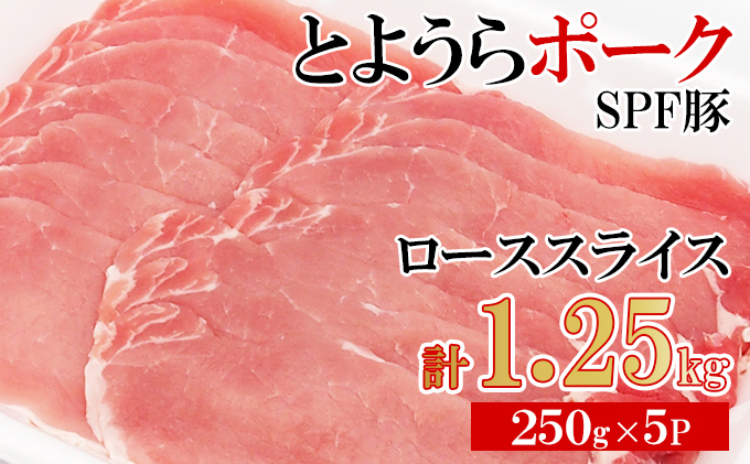 とようらポーク1.25kg ロース スライス 小分け 北海道豊浦産 SPF豚