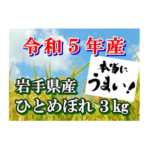 ふるさと納税 岩手県 大槌町 令和5年産 岩手県産 ひとめぼれ3kg