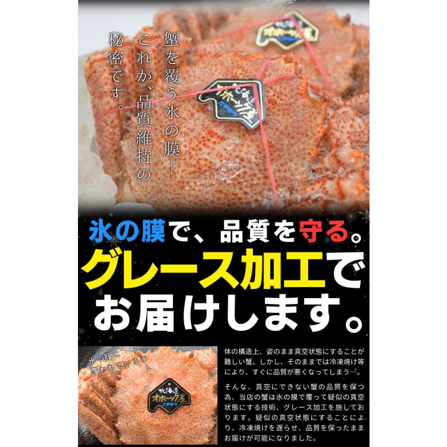 毛ガニ 姿 ボイル ２尾 約１ｋｇ（約５００ｇ×２杯） 北海道 ブランドタグ付 毛蟹 毛がに 冷凍 送料無料 蟹 かにみそ 海鮮