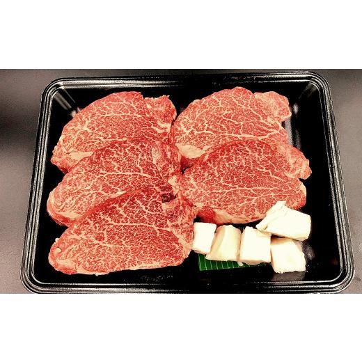 ふるさと納税 岐阜県 下呂市 菊の井 飛騨牛ヒレステーキ  150g×5 牛肉 赤身 ステーキ 下呂温泉 贈答 ギフト