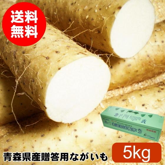 とろろ 長芋 5kg 青森 贈答 送料無料