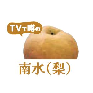 南信州りんご・梨　送料無料