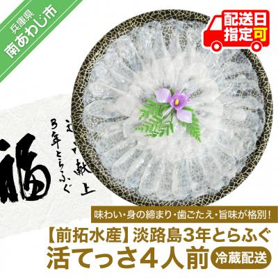 ふるさと納税 南あわじ市 淡路島3年とらふぐ(活てっさ4人前)◆配送10月8日〜3月31日