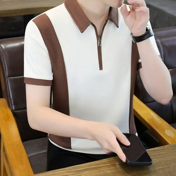 台灣现貨 老錢風短袖 型男短袖 夏季男士商務輕奢短袖 高檔半拉鍊短袖 T恤polo衫 休閒百搭撞色翻領上衣