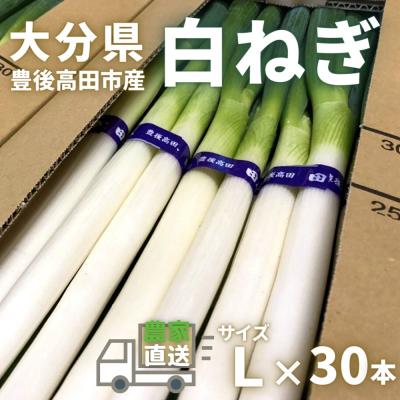 ふるさと納税 豊後高田市 あっぱれ!白ねぎ田舎育ち(Lサイズ・30本)