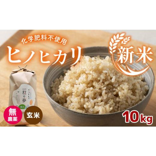 ふるさと納税 山口県 美祢市 無農薬・化学肥料不使用 ヒノヒカリ(玄米) 10kg