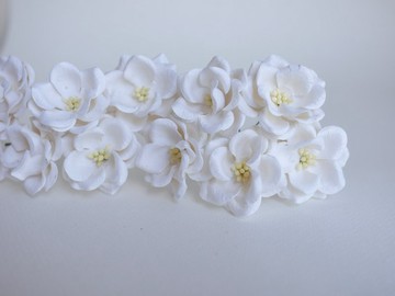 紙花，25 朵桑葚玫瑰，尺寸 3.5 公分。曲線花瓣，白色