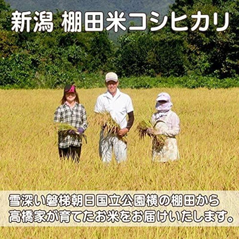 棚田米 無洗米 新潟県産コシヒカリ 3kg 令和4年度