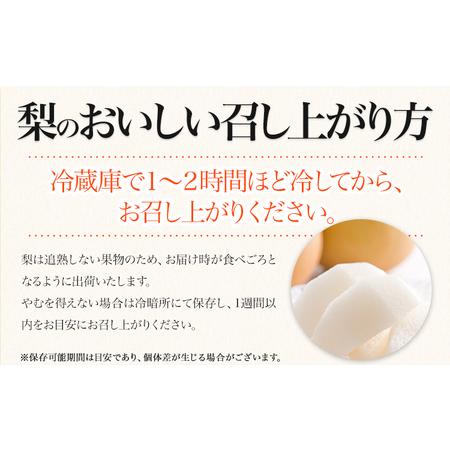 ふるさと納税 梨 幸水 豊水 くまもと梨 先行 果物 秋 旬 フルーツ ナシ なし 先行予約 送料無料 訳あり SDGs あきづき 甘太 新高 新興 約4.5kg-5.. 熊本県長洲町