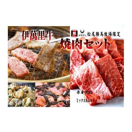 ふるさと納税 伊万里牛焼肉セット 赤身400g ミックスホルモン200g 焼肉だれ付 J728 佐賀県伊万里市