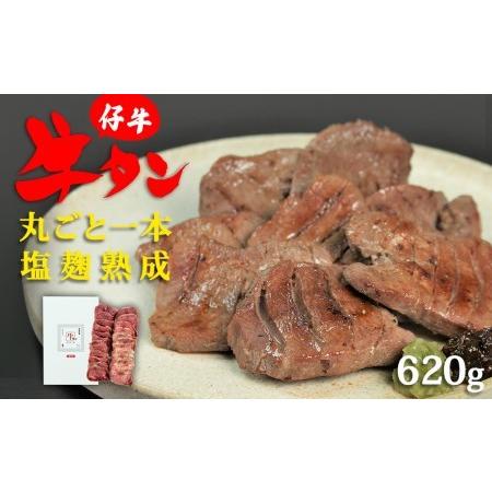 ふるさと納税 陣中 仔牛 の 牛タン 丸ごと一本塩麹熟成 620g 宮城県名取市