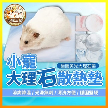 【小寵王國】大理石散熱墊 大理石涼墊 倉鼠散熱板 倉鼠涼墊 天竺鼠降溫板 寵物降溫板 散熱板 小寵用品
