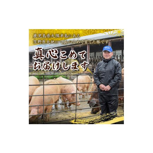 ふるさと納税 鹿児島県 鹿屋市 2043 鹿屋産 さかし豚 バラスライス 1.4kg