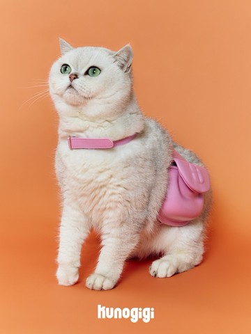 2顔色 真皮制寵物兜兜 狗狗貓貓胸背外出牽引繩 寵物配飾衣服