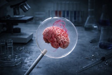 創意棒棒糖－意識標本