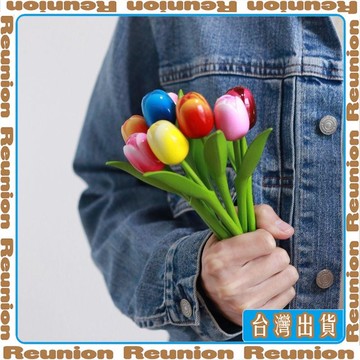 🏠臺灣出貨🏠Reunion✔長葉柄有字世錦賽高顏值北歐風木質鬱金香可愛小清新仿真擺件插花