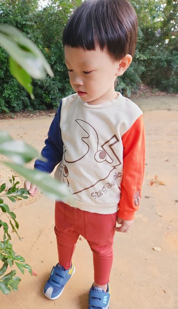 臺灣原創品牌Rakki more鍬形蟲 甲蟲長袖上衣 拼袖長袖上衣