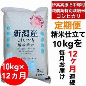 新潟県旧中郷村減農薬特別栽培米コシヒカリ 10kg（5kg×2袋）