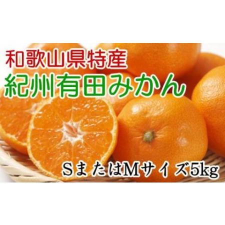 ふるさと納税 [秀品]和歌山有田みかん約5kg(SまたはMサイズ) ★2023年11月中旬頃より順次発送 和歌山県有田川町