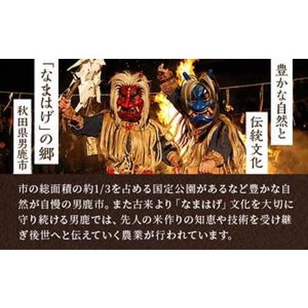 ふるさと納税 令和5年産 あきたこまち 精米 5kg×1袋 秋田県 男鹿市 秋田食糧卸販売 秋田県男鹿市