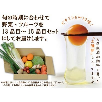 ふるさと納税 旬の野菜・フルーツセット定期便 13品目から15品目の豪華セット 長崎県雲仙市