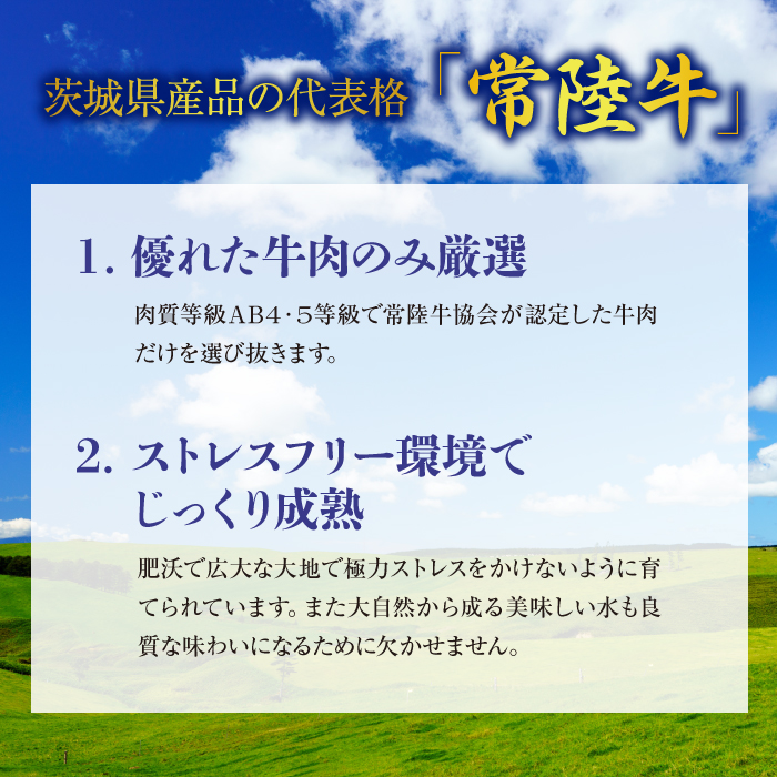 J-6 茨城最高のブランド牛600g