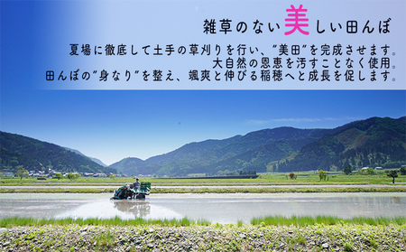 令和5年産福井県若狭町コシヒカリ（一等米）10kg（山心ファーム）