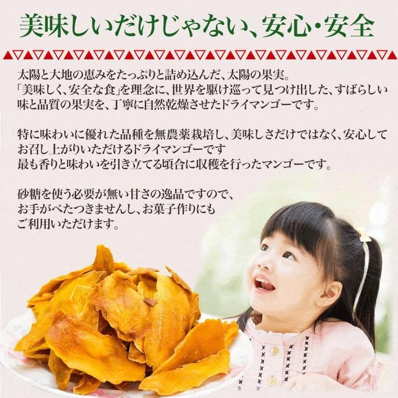 マンゴー ドライマンゴー 無添加 砂糖不使用 200g×1袋 メール便限定送料無料