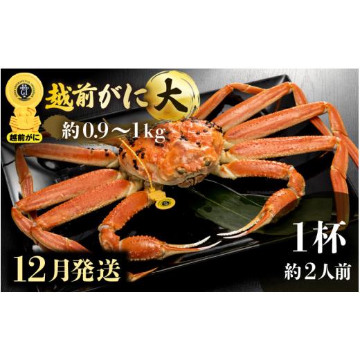 ふるさと納税 福井県 越前町 越前がに本場の越前町からお届け！越前がに 浜茹で 大サイズ（生で約0.9〜1kg） × 1杯 約2人前 食べ応えあり！…