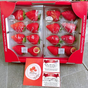 【帕查嬤嬤】🇯🇵日本 奈良 《奈良之光》最新品種 ならあかり 明草莓🍓｜日本草莓禮盒