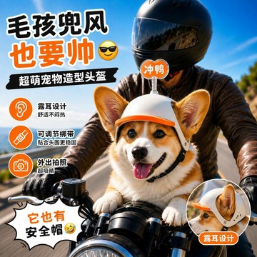 台灣出貨  狗狗安全帽 寵物頭盔 可愛露式耳寵物機車帽 可調節狗狗帽子 小型犬柯基兜風帽  外出拍照造型配件