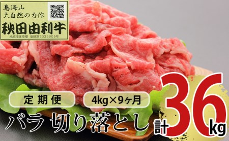 定期便》9ヶ月連続 秋田由利牛 バラ切り落とし 4kg（1kg×4パック）